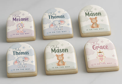 Baby on the way Baby Shower Cookie