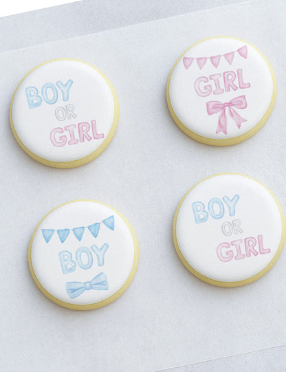 Watercolor Boy or Girl Gender Reveal Cookie Set
